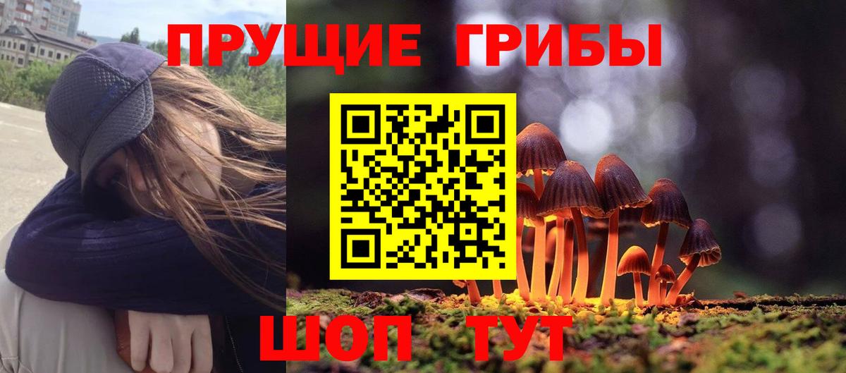 Псилоцибиновые грибы MAGIC MUSHROOMS  Вход с VPN  купить закладку  Десногорск 
